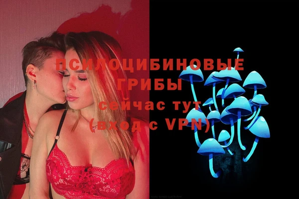 гидра Алексин