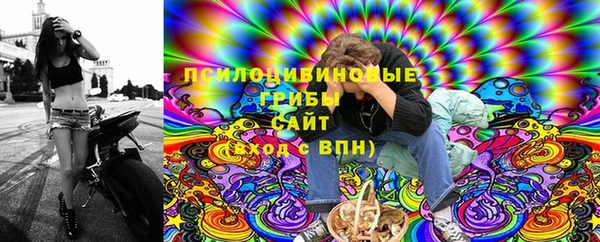 гидра Алексин