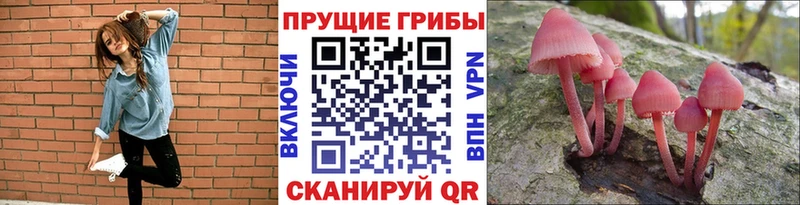 купить Цимлянск Галлюциногенные грибы мицелий